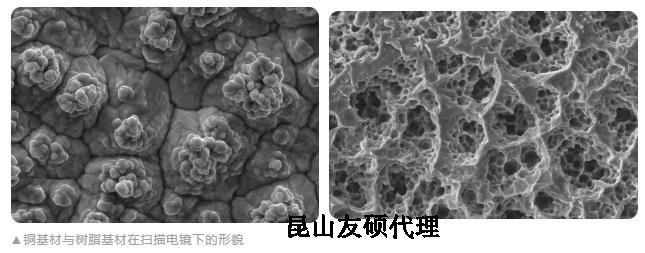 南岸蔡司南岸扫描电镜