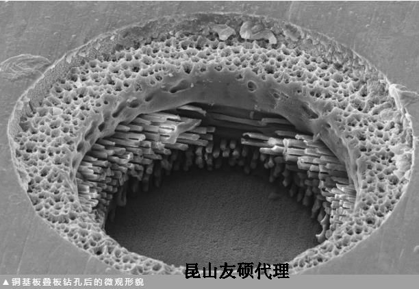 南岸蔡司南岸扫描电镜